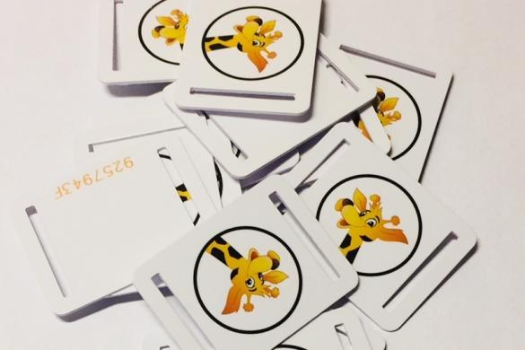 PETG Wristband Tags